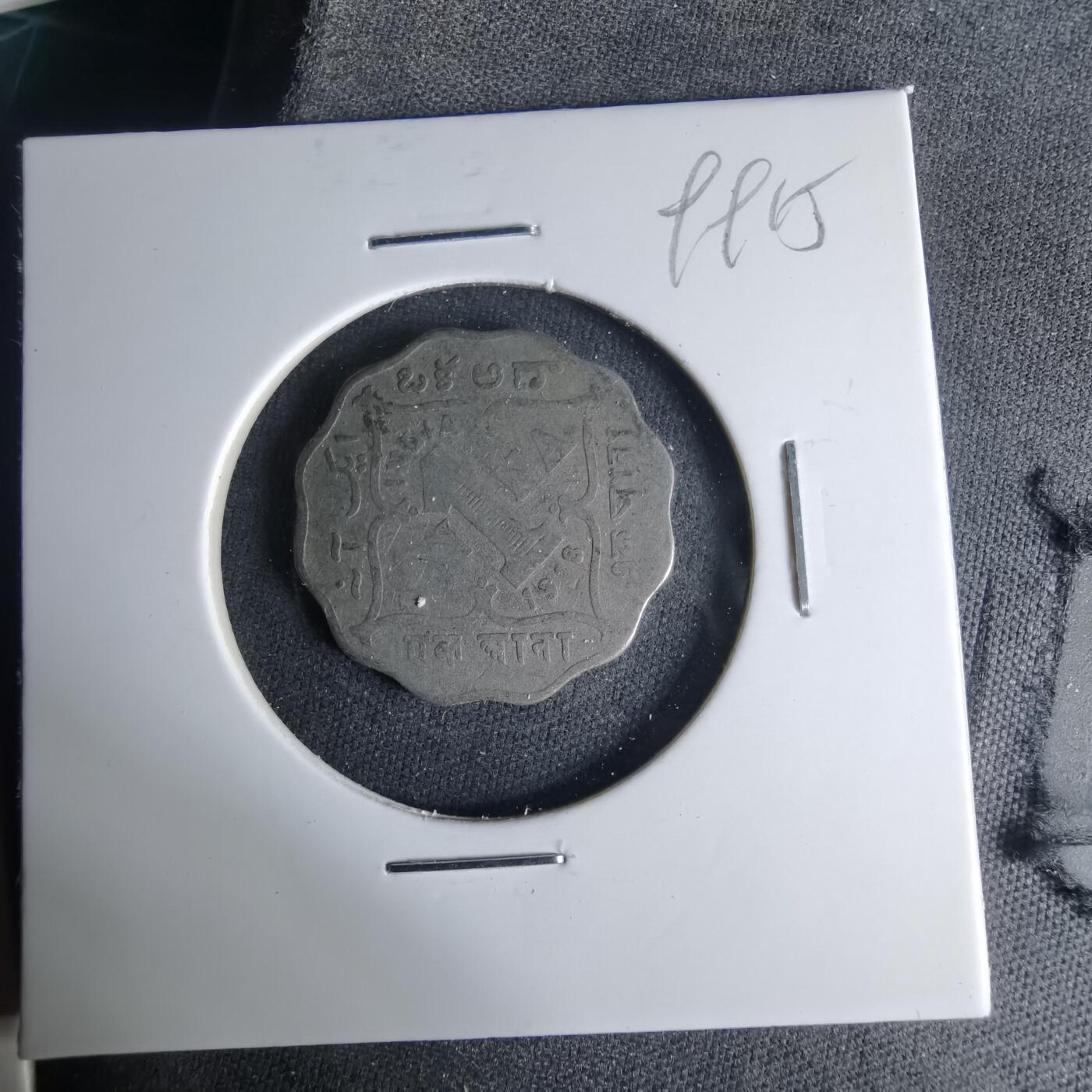 沼泽如烟--第999场