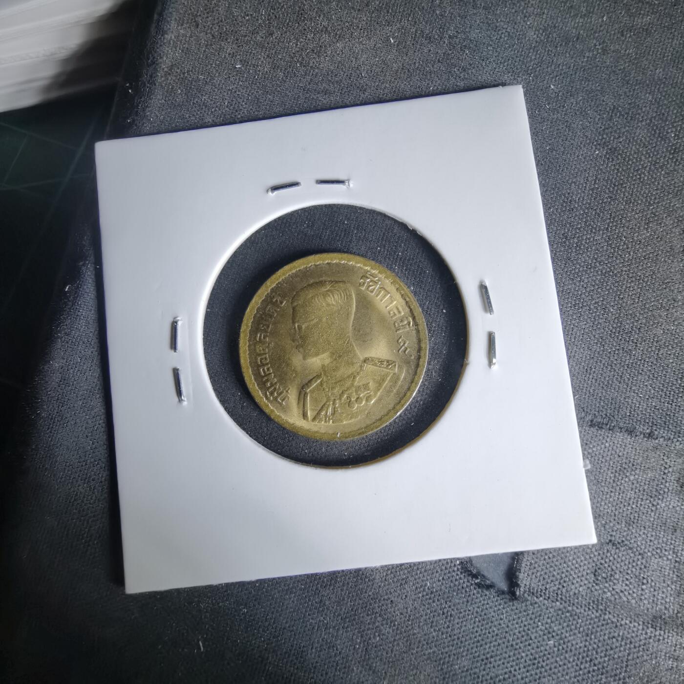 沼泽如烟--第999场 泰国