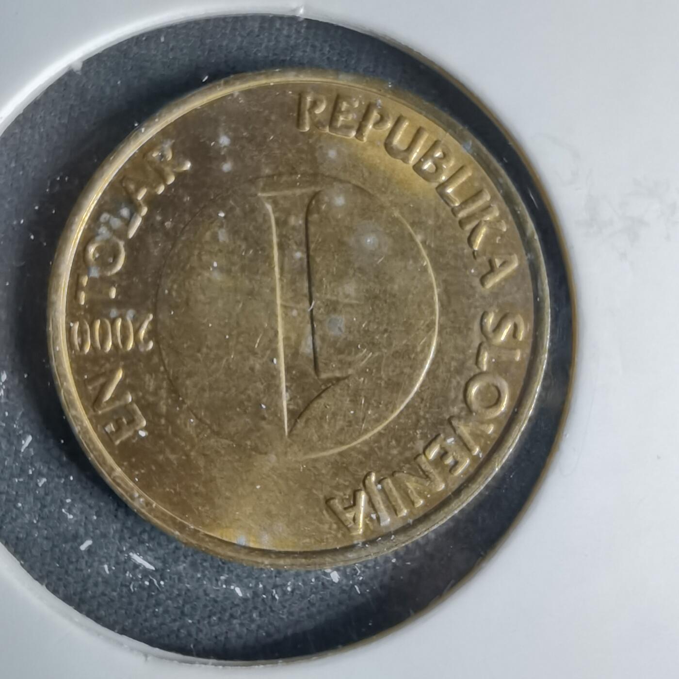 沼泽如烟--第999场