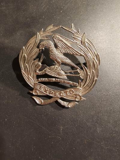 老王徽章第183期 - 英联邦南非陆军第1城市团帽徽    一战时期