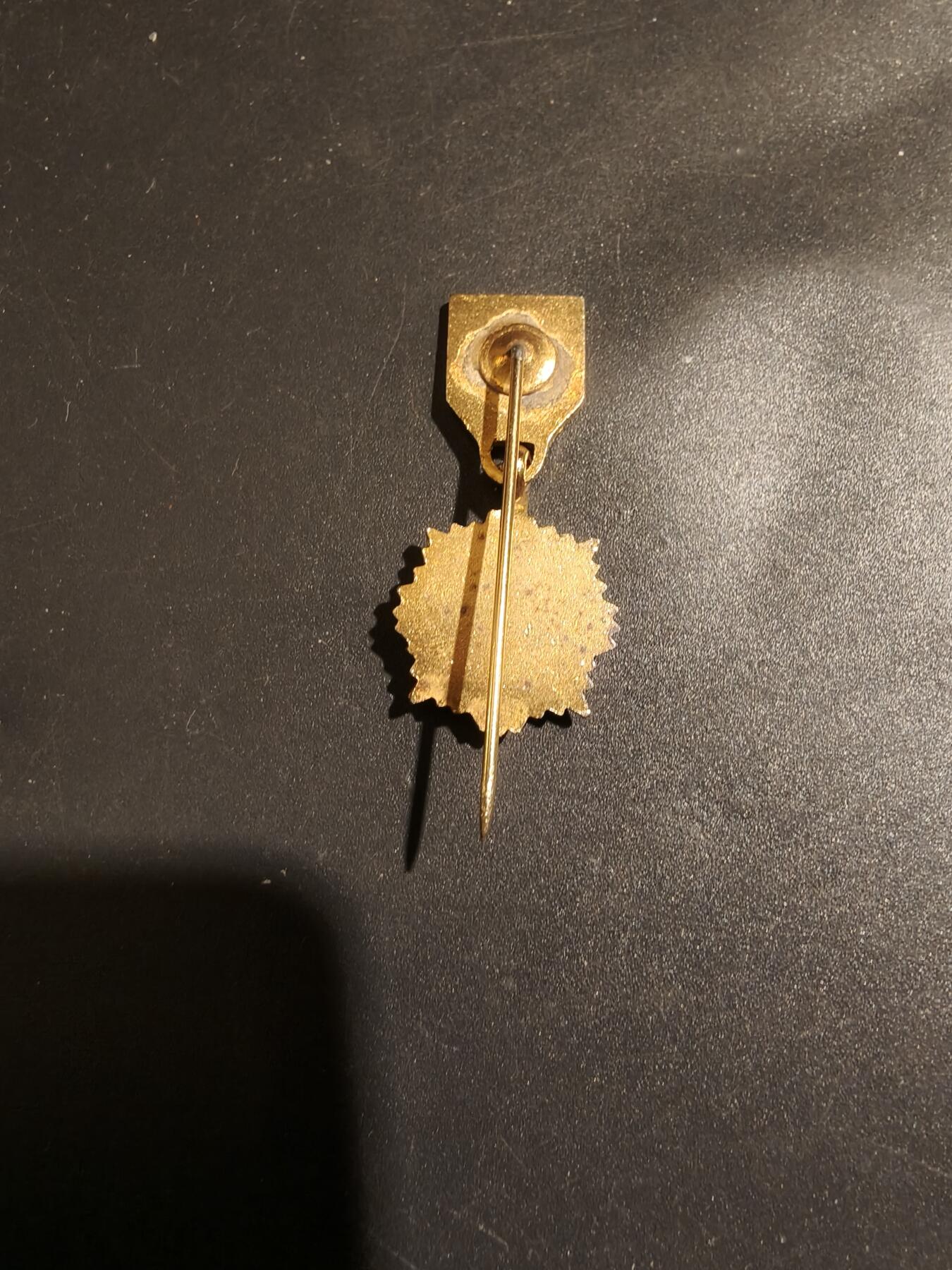 老王徽章第183期 波兰金级红十字会勋章迷你针插