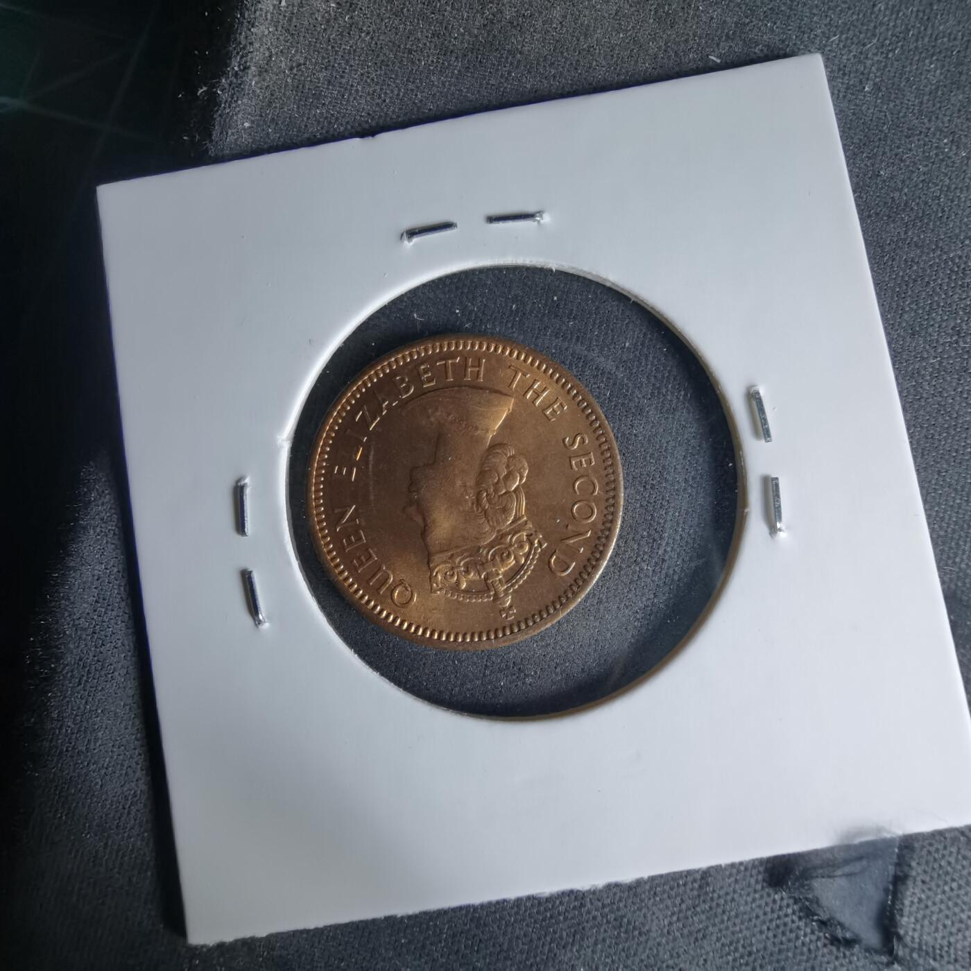 沼泽如烟--第999场