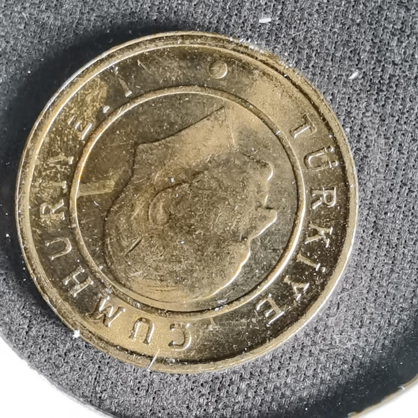 沼泽如烟--第999场