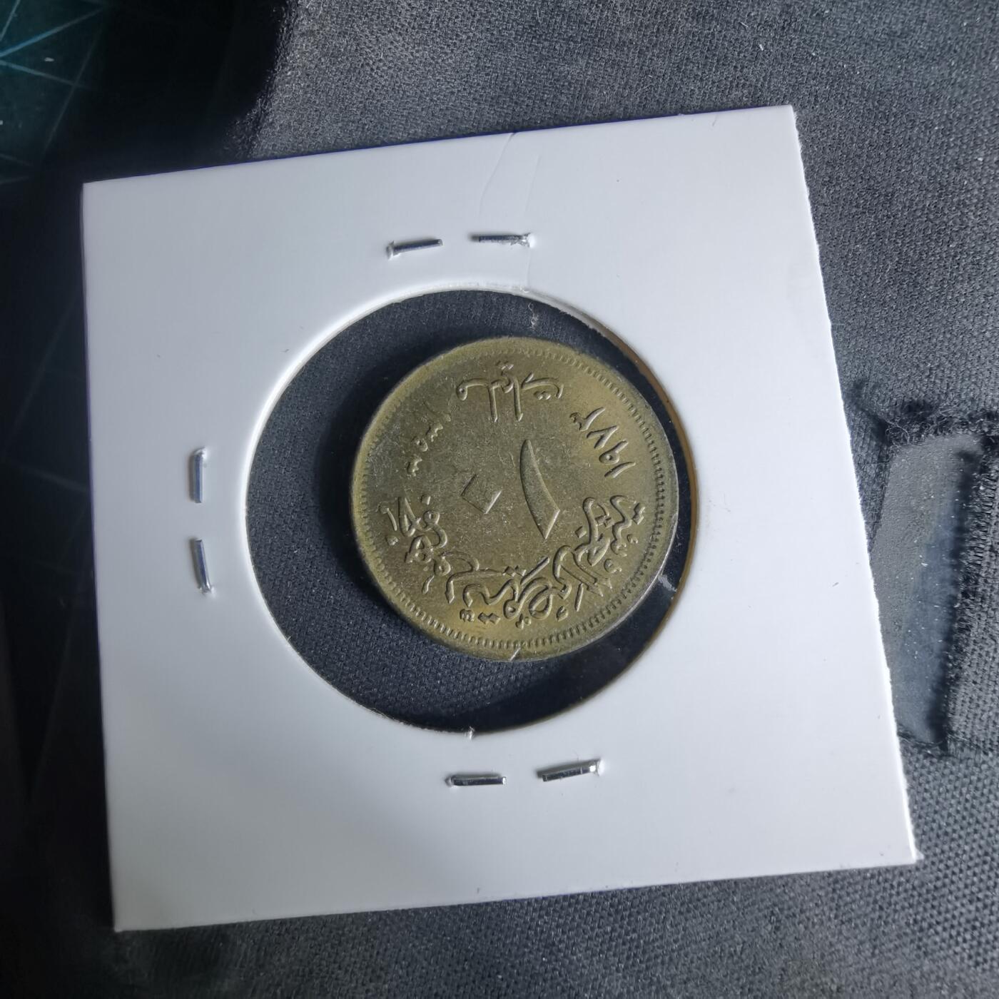 沼泽如烟--第999场