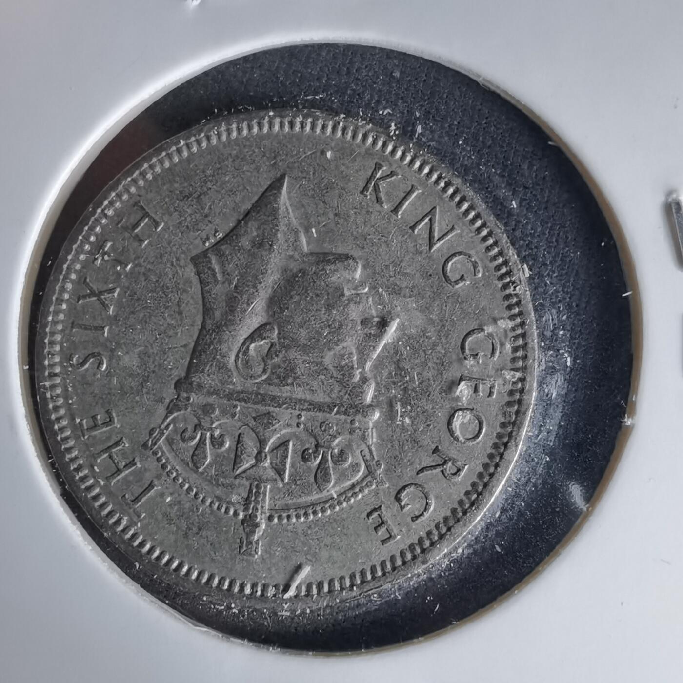 沼泽如烟--第999场