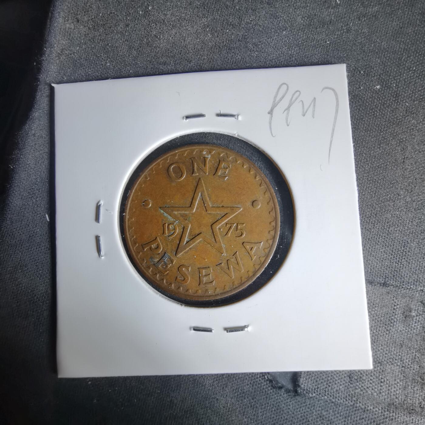 沼泽如烟--第999场