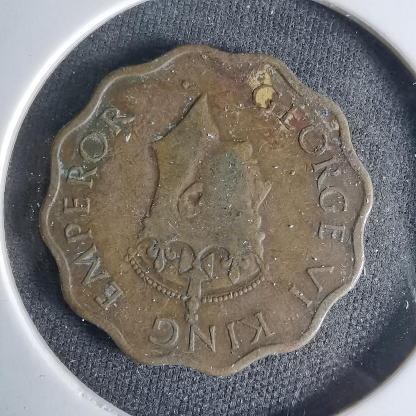 沼泽如烟--第999场