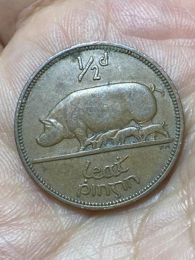 2026年第二十九场(总第一百九十八场）英国一线回流散币新年初九特拍场第一场(免佣金) - 爱尔兰🇮🇪1964年1/2便士(共和国时期第一套)