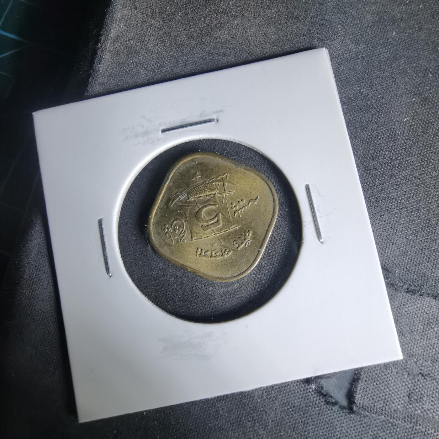 沼泽如烟--第999场