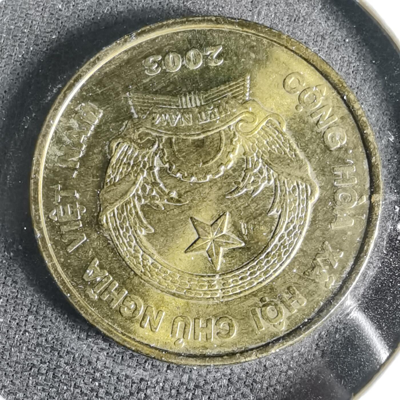 沼泽如烟--第999场