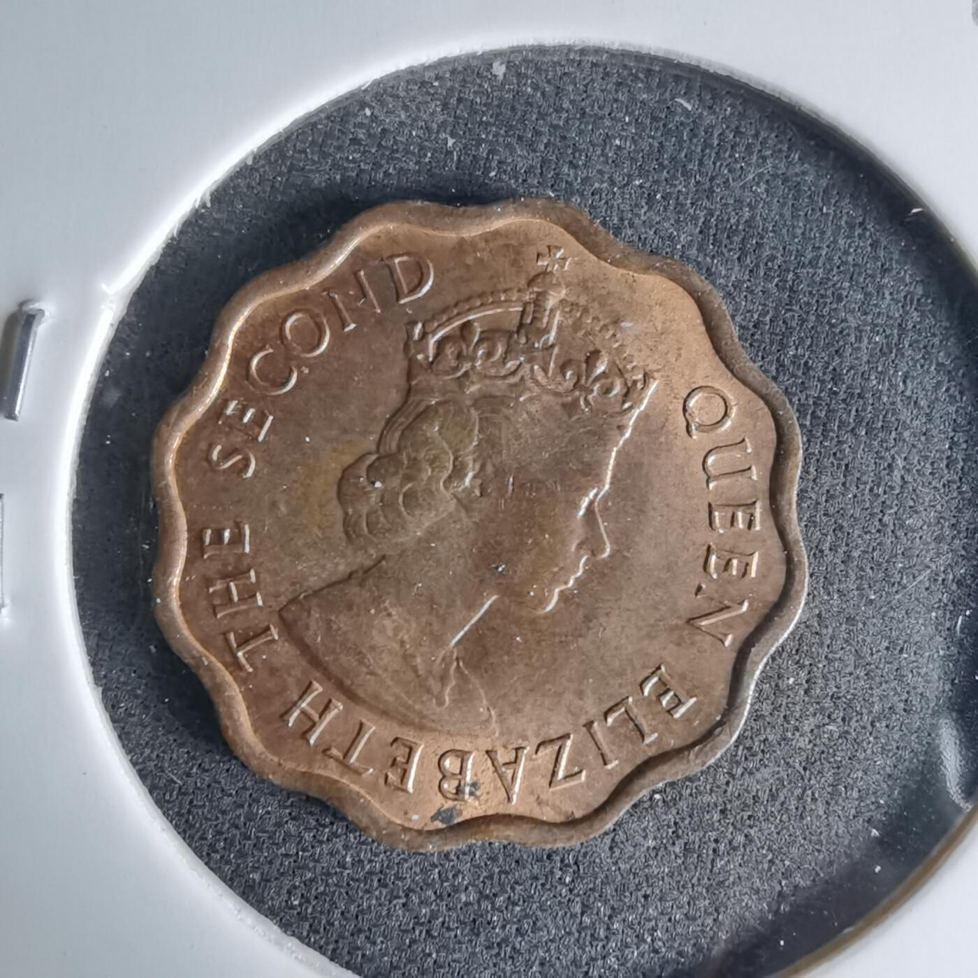 沼泽如烟--第999场