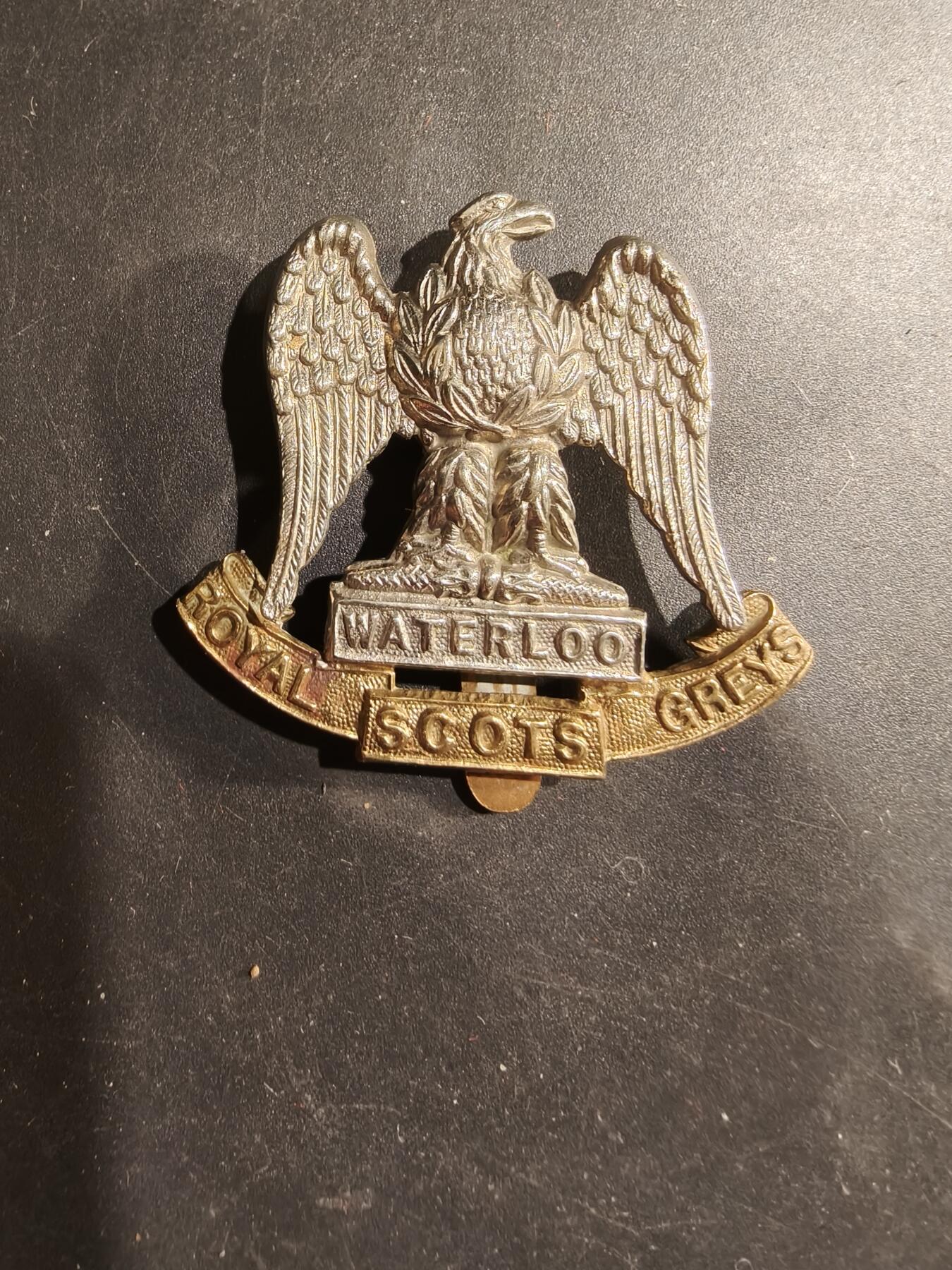 老王徽章第183期