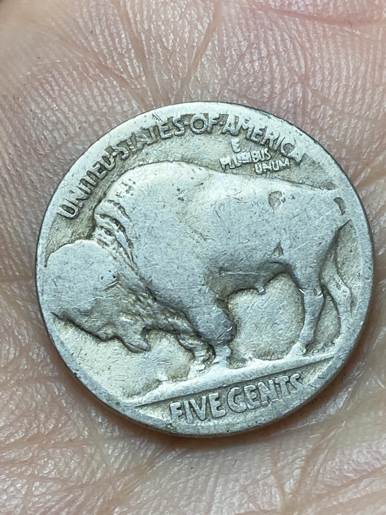 2026年第二十九场(总第一百九十八场）英国一线回流散币新年初九特拍场第一场(免佣金) 美国🇺🇸5分(野牛五分第二版)