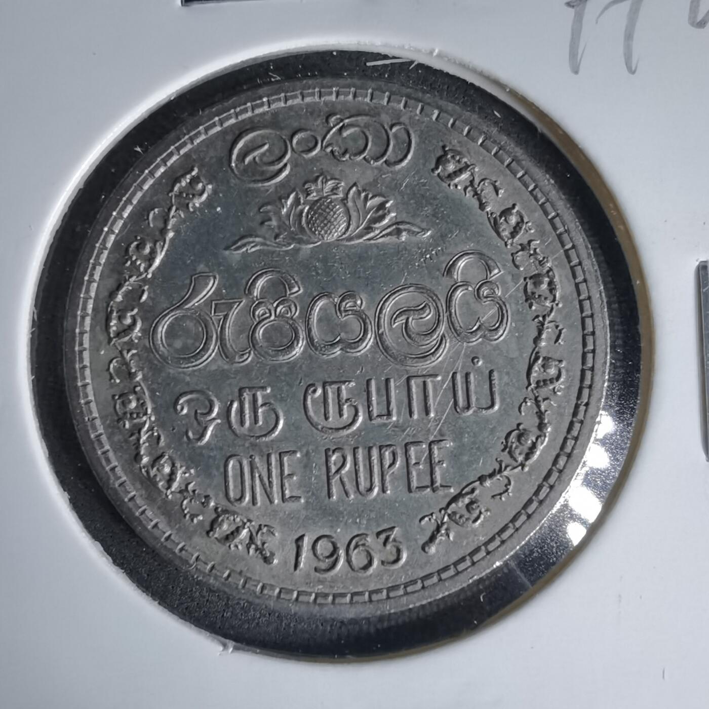 沼泽如烟--第999场