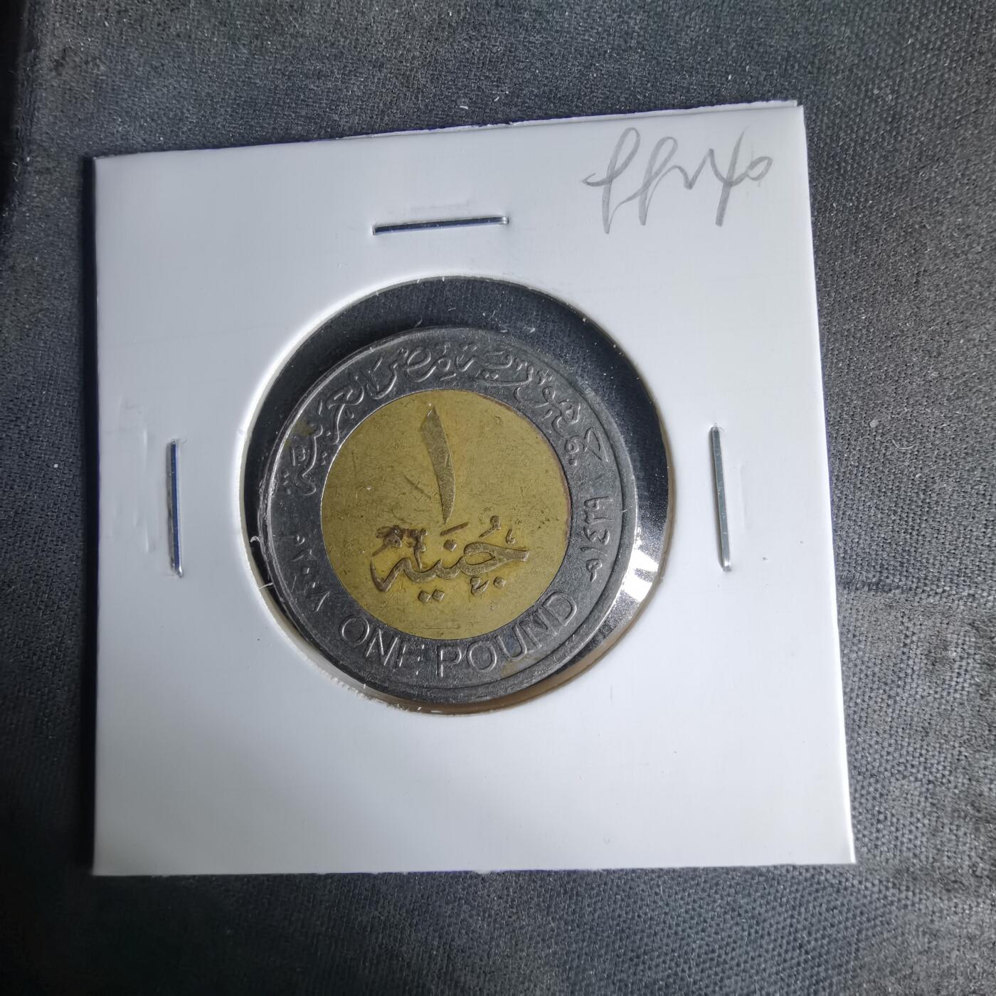 沼泽如烟--第999场