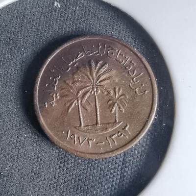 沼泽如烟--第999场 - 阿联酋