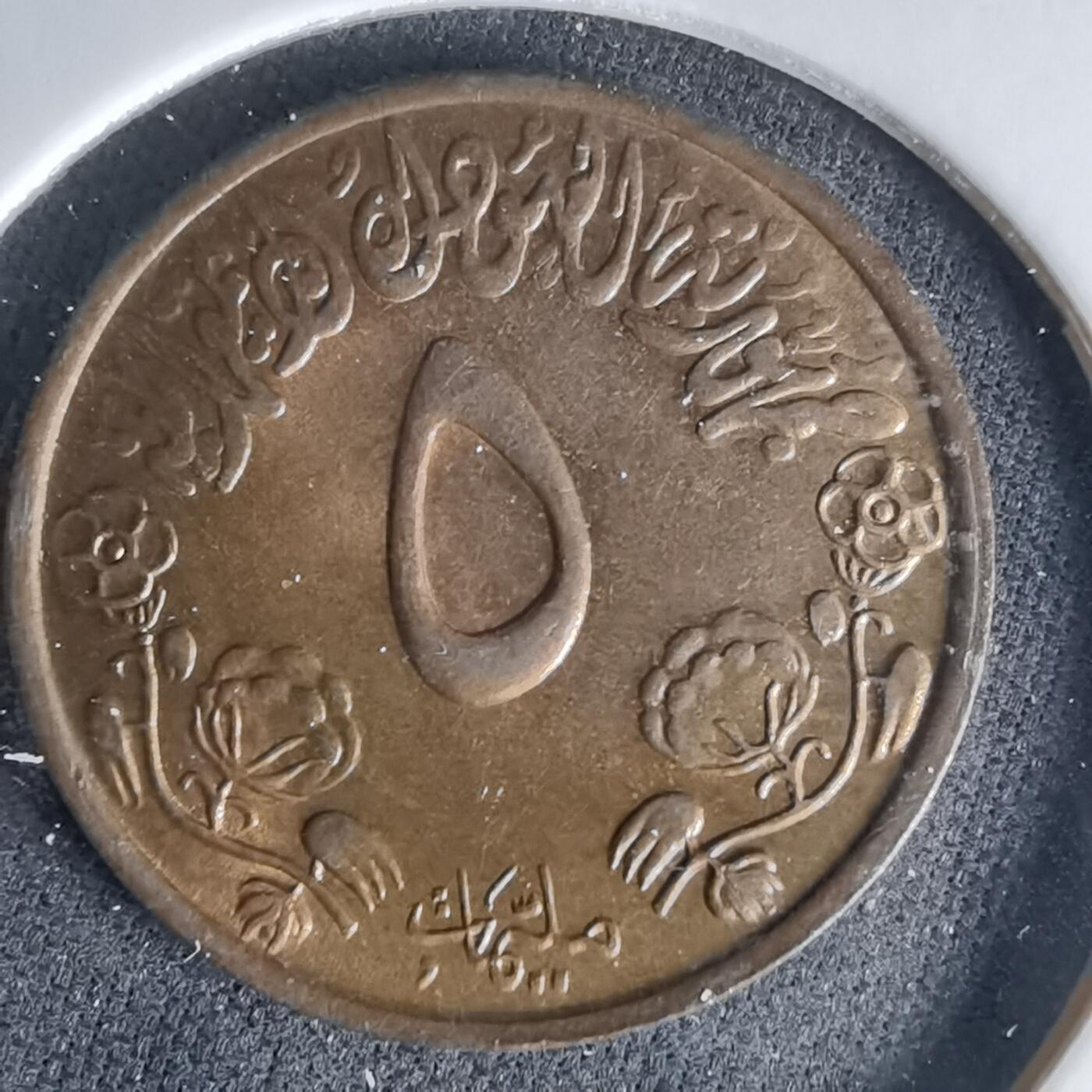 沼泽如烟--第999场 苏丹