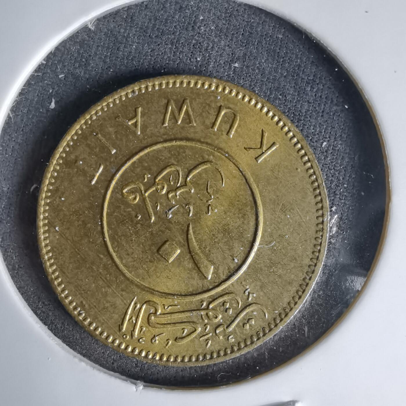 沼泽如烟--第999场