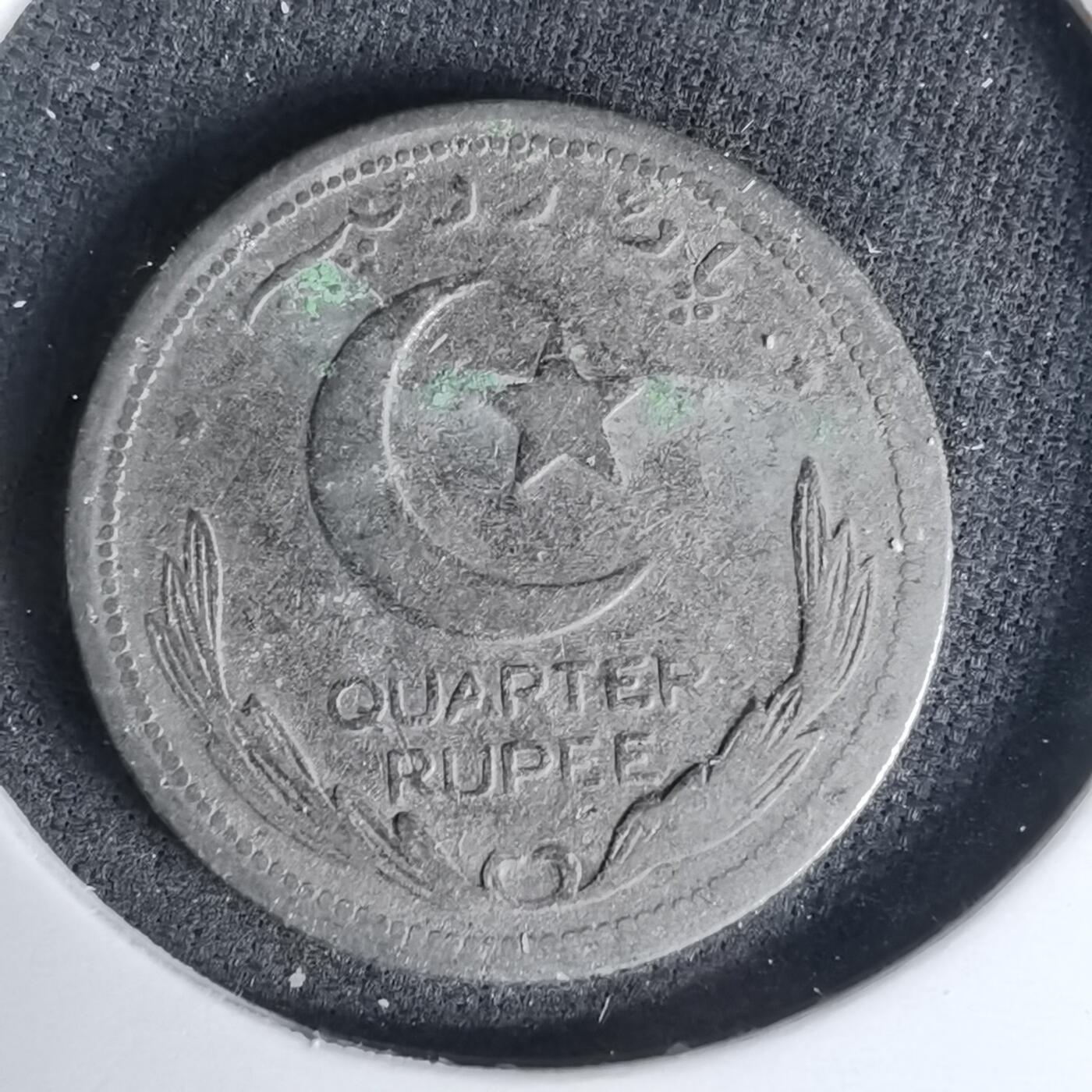 沼泽如烟--第999场