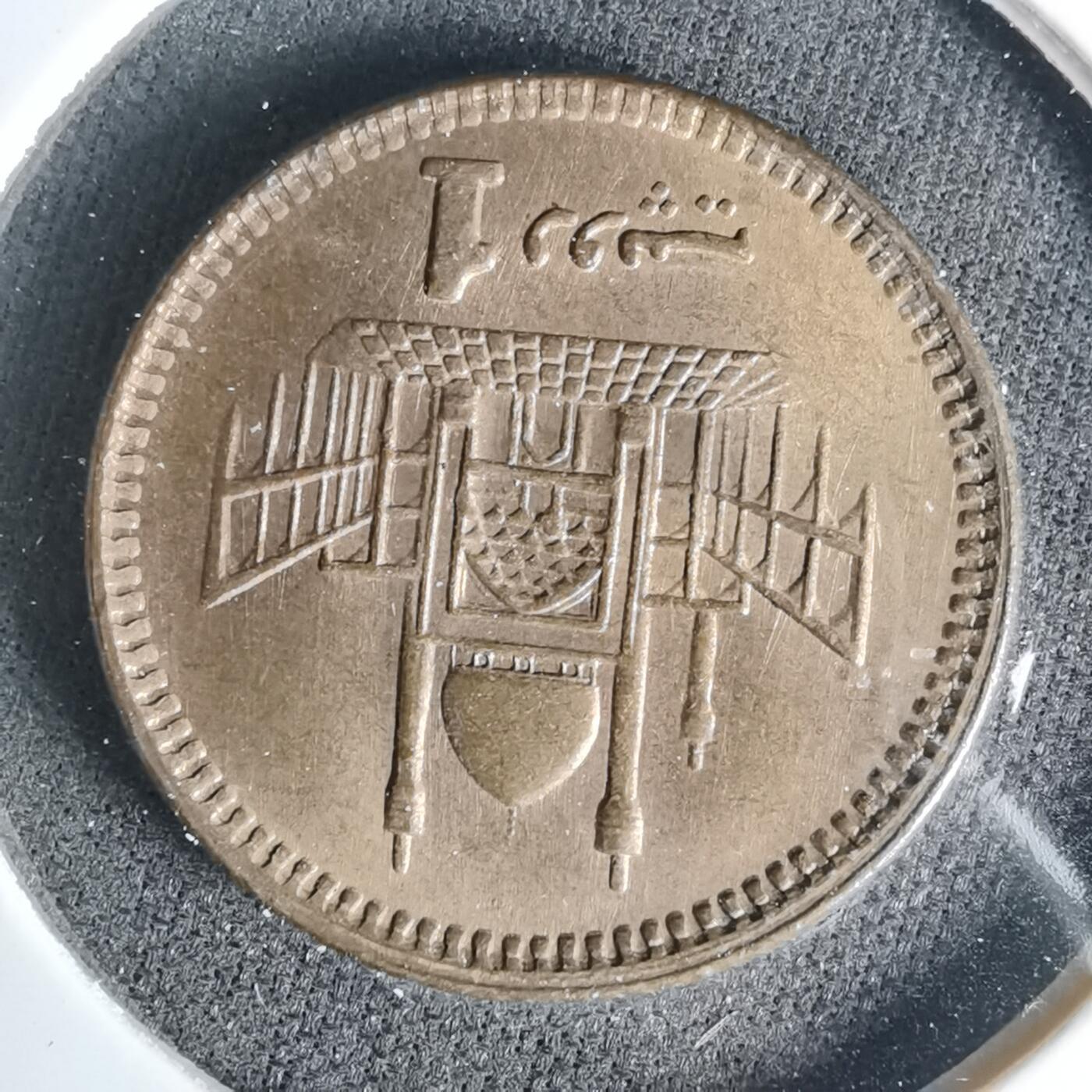 沼泽如烟--第999场