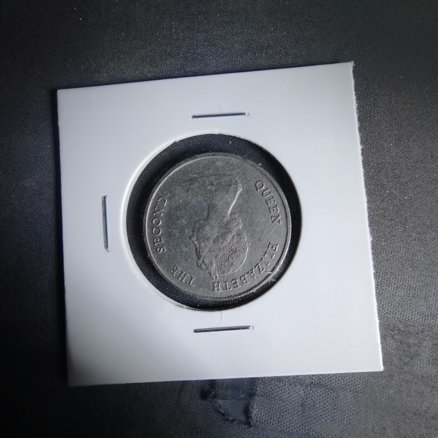 沼泽如烟--第999场