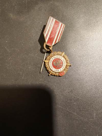 老王徽章第183期 - 波兰铜级武装力量服务祖国奖章迷你针插