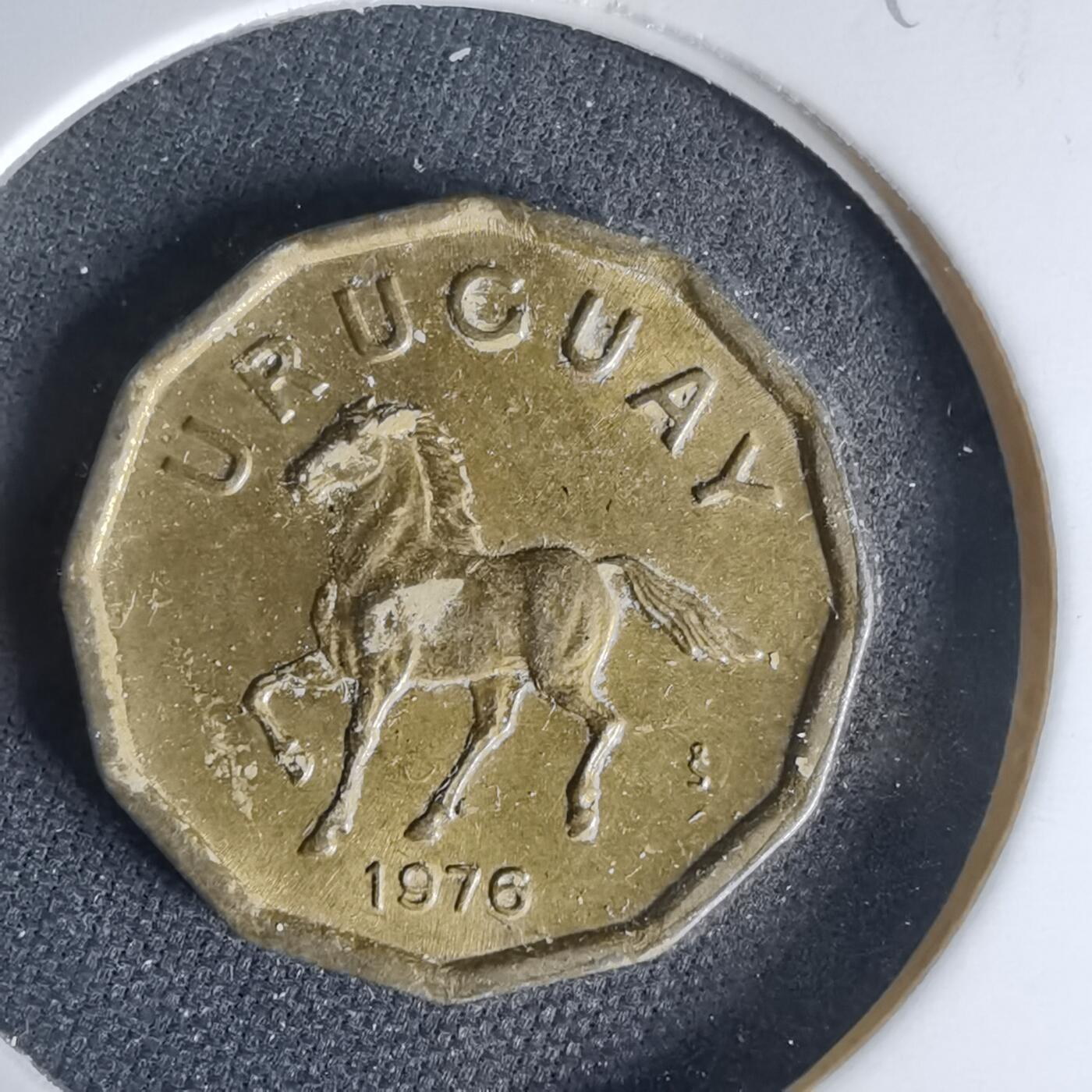 沼泽如烟--第999场