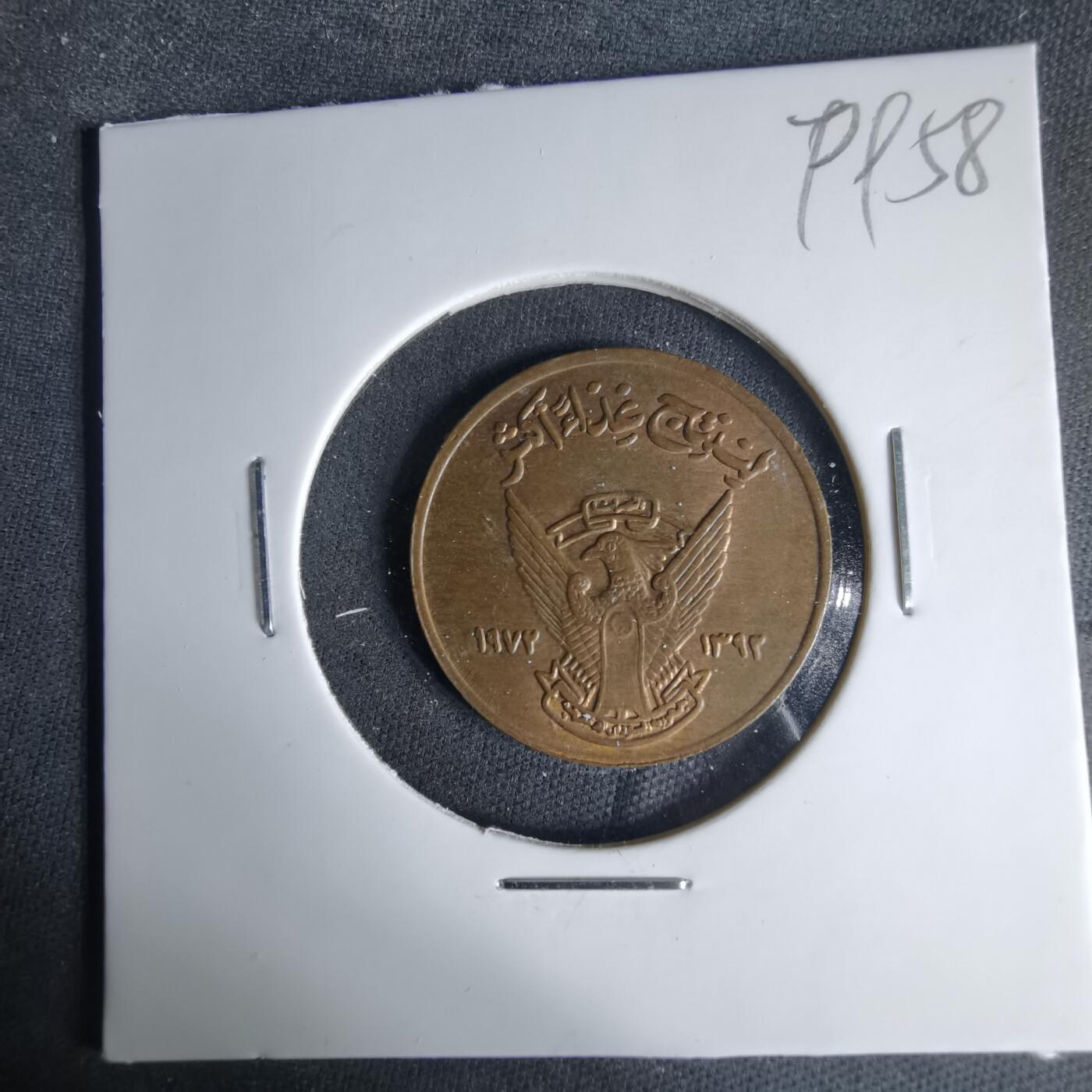 沼泽如烟--第999场 苏丹