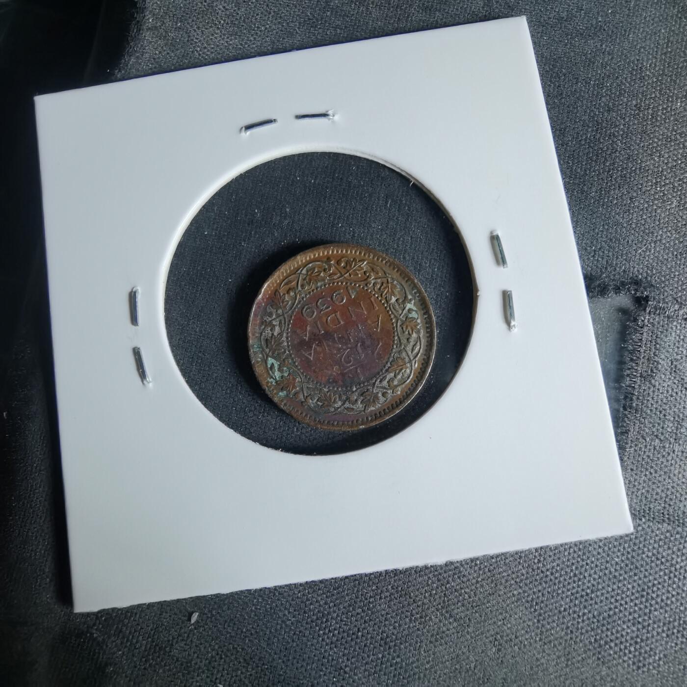 沼泽如烟--第999场