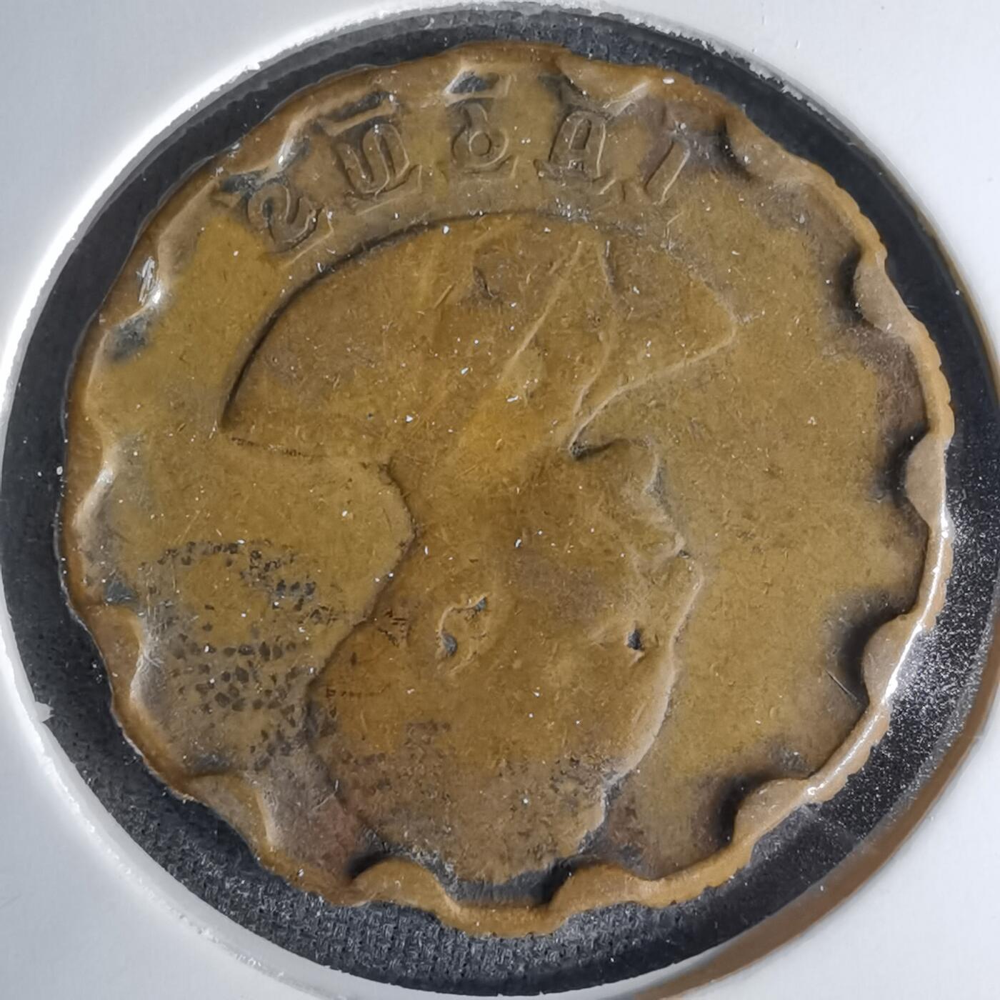 沼泽如烟--第999场