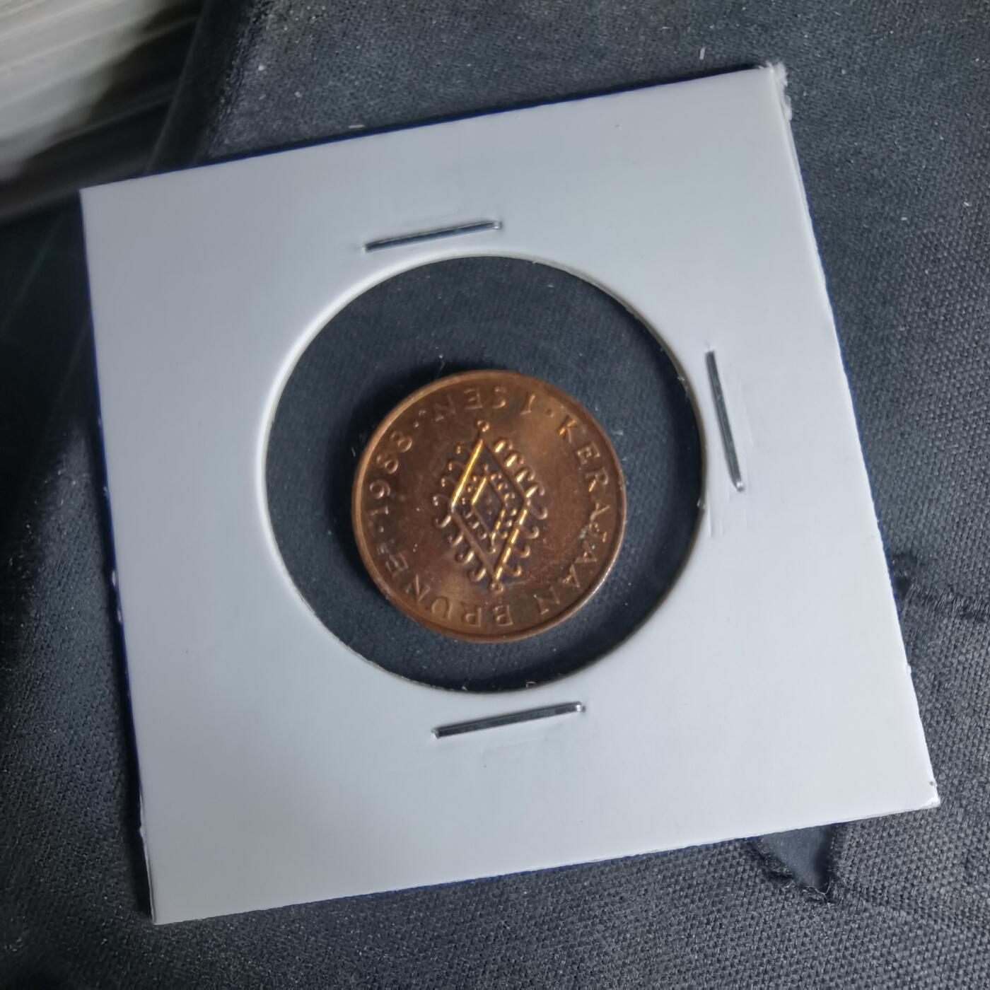 沼泽如烟--第999场