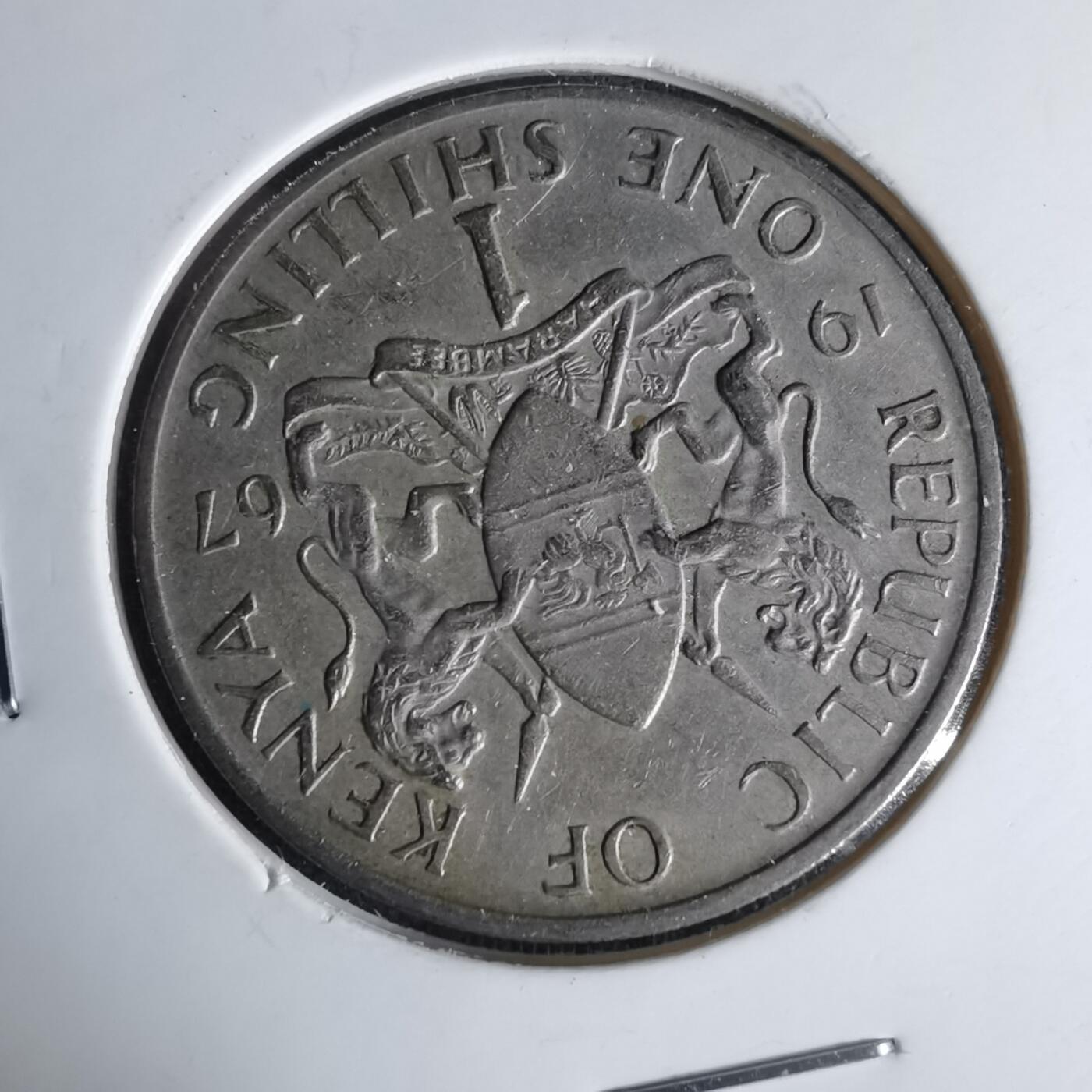 沼泽如烟--第999场