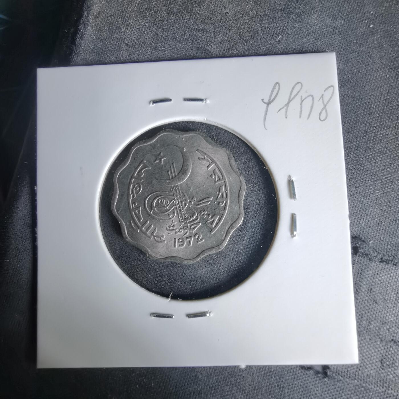 沼泽如烟--第999场