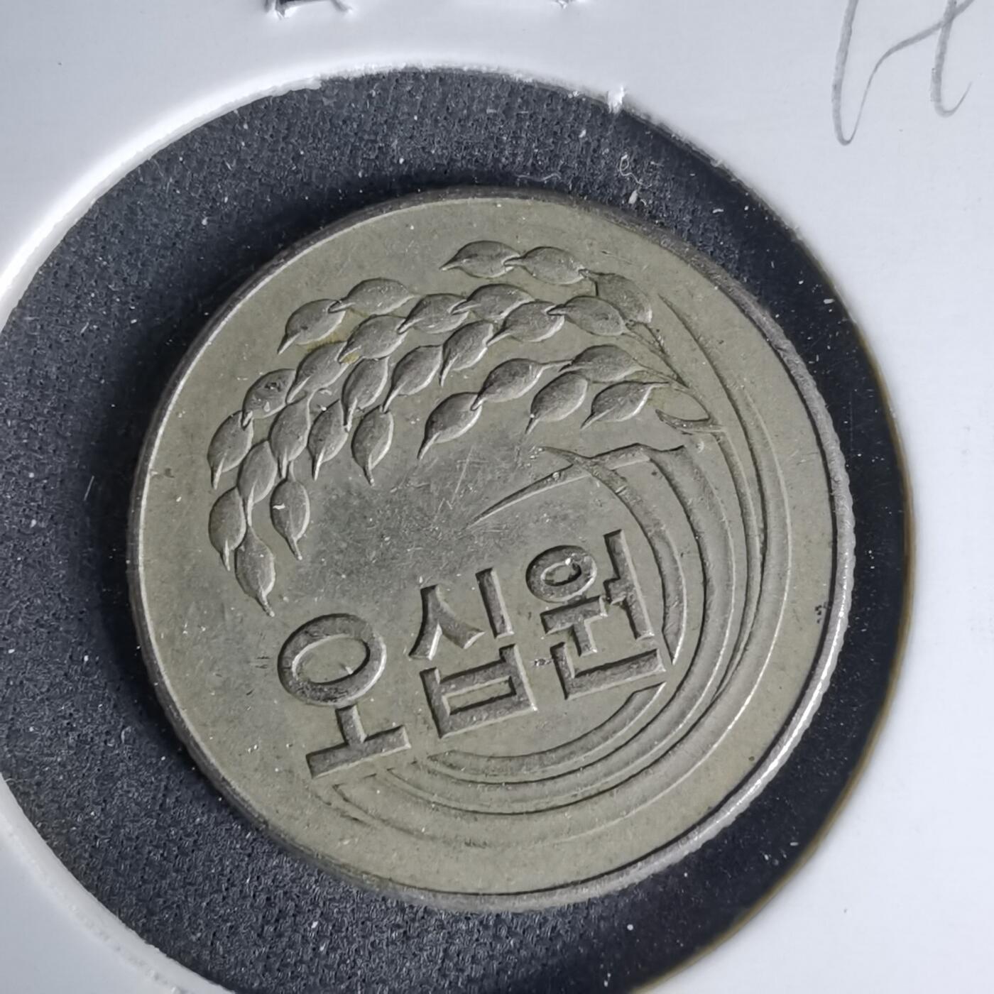 沼泽如烟--第999场