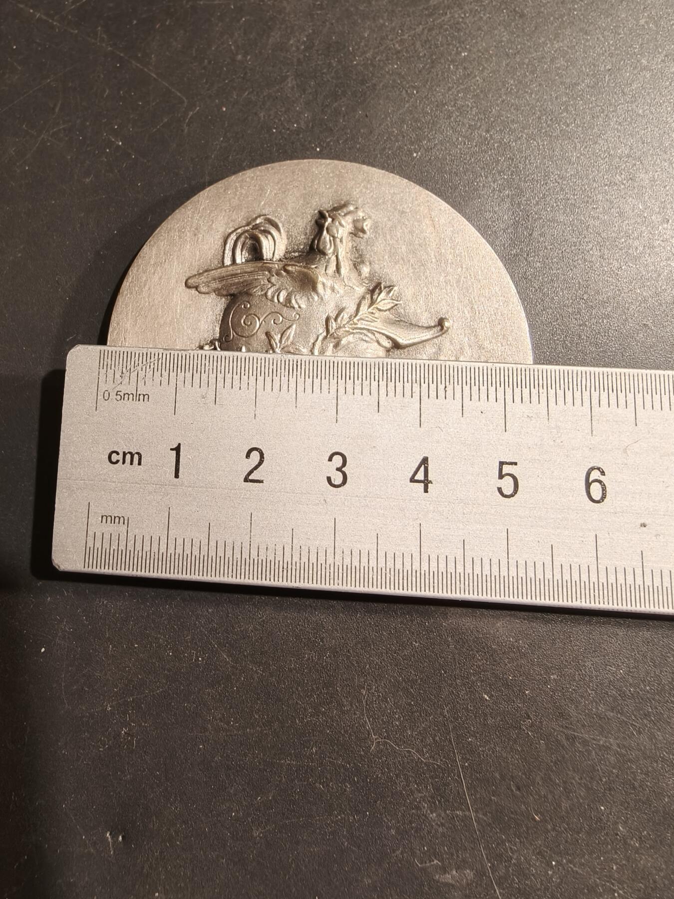 老王徽章第183期 法国油漆与玻璃工业企业家同业公会镀银大铜章     原盒，盒子卡扣不严     公鸡头玛丽安娜     直径54mm     重量70g 