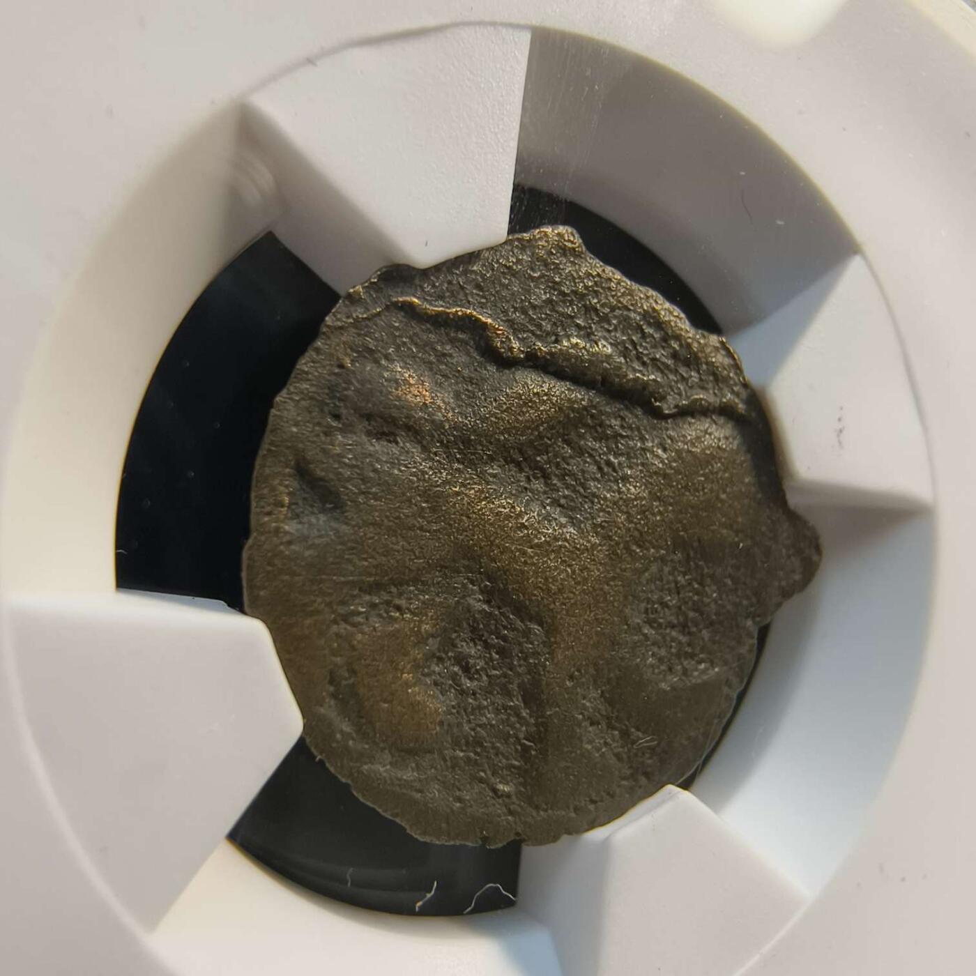 七河·世界世界币章杂件矿标化石小拍（总第38期）