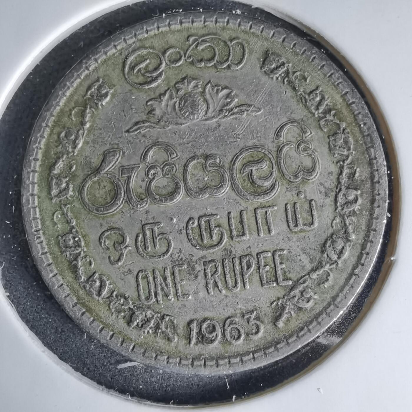 沼泽如烟--第999场