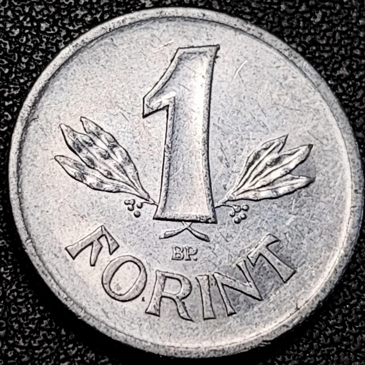 泉币菌-第193场- 新年第一场 新年快乐 本场拍品多 请提前出价 匈牙利1981年1福林铝币 社会主义时期23.5mm 