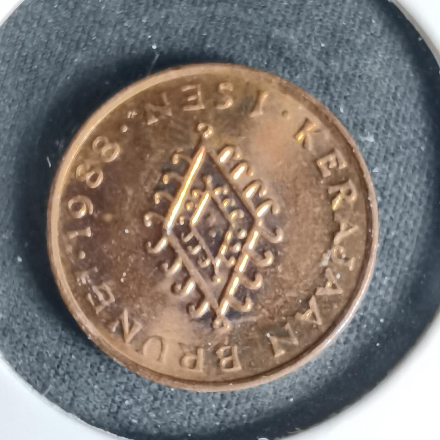 沼泽如烟--第999场