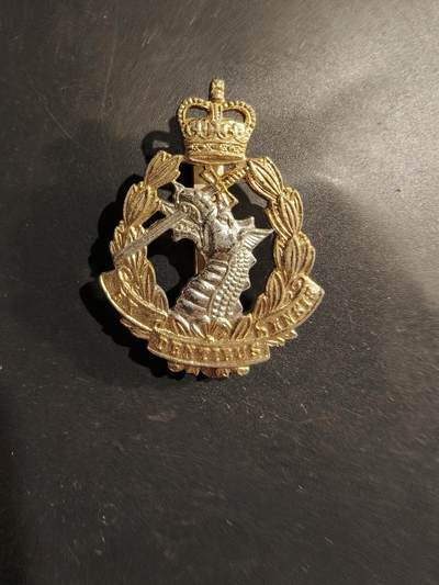 老王徽章第183期 - 英国牙医团帽徽    女王时期