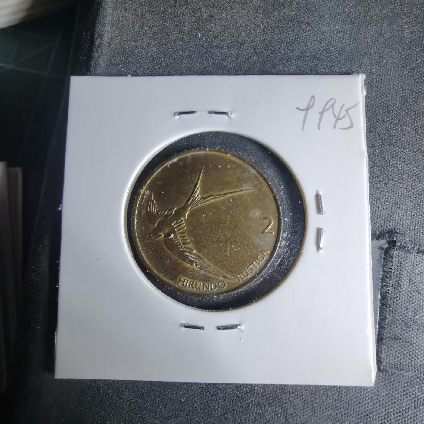 沼泽如烟--第999场