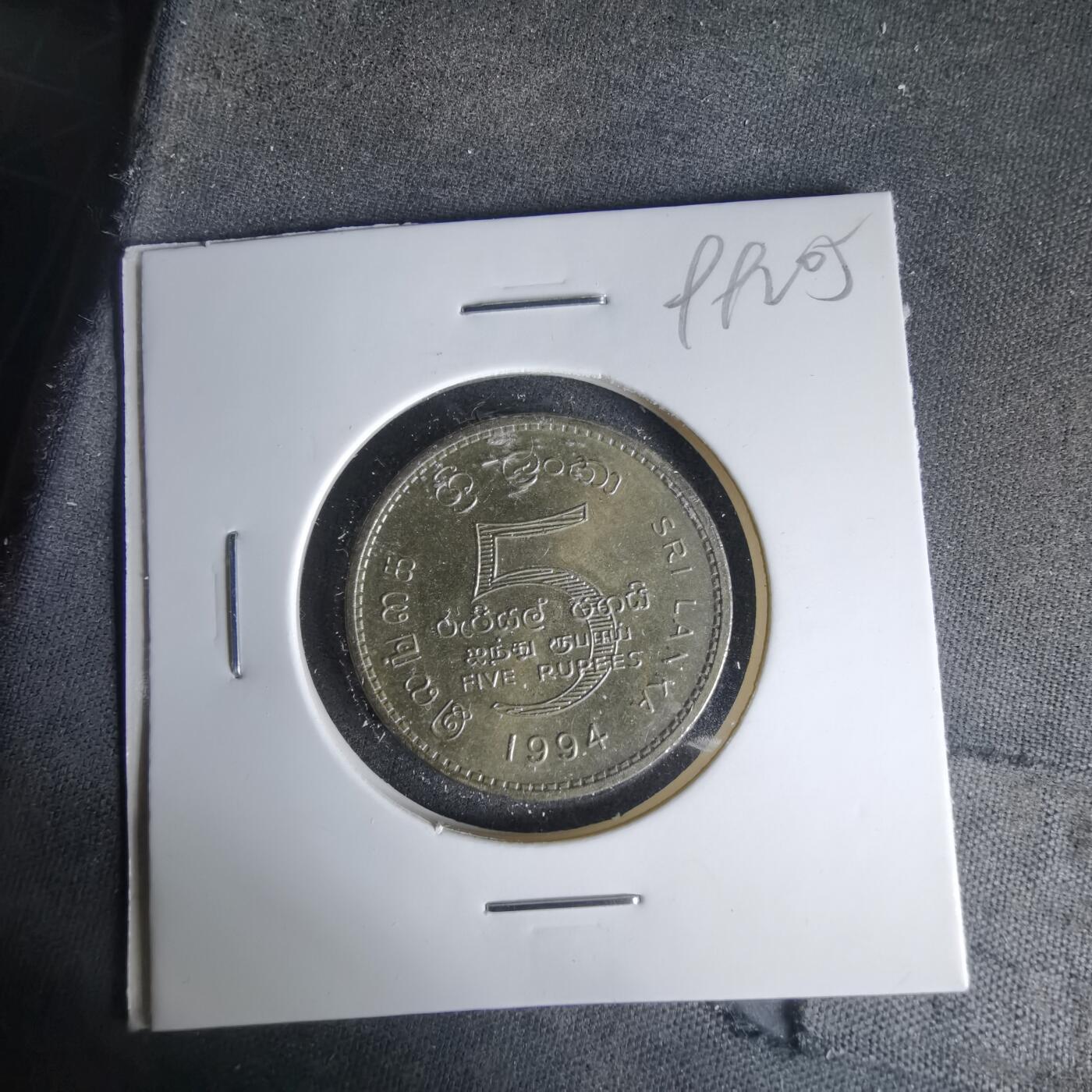 沼泽如烟--第999场