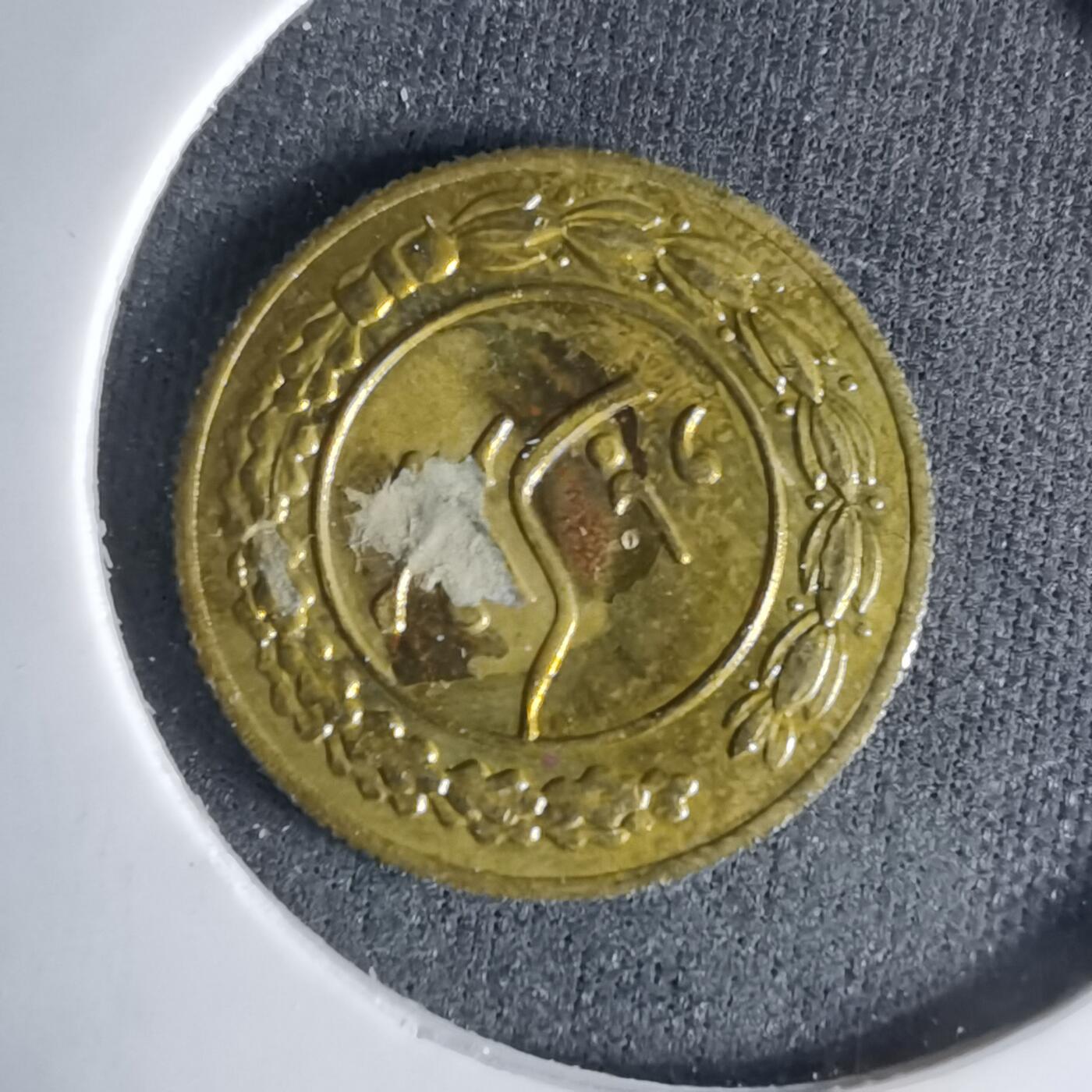 沼泽如烟--第999场 伊朗代币