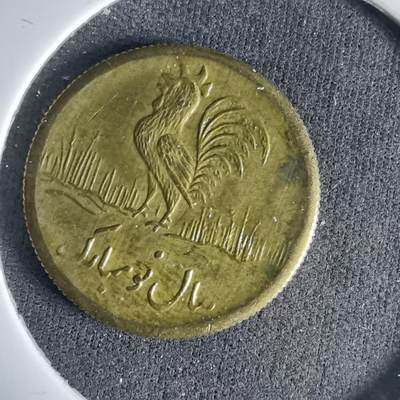 沼泽如烟--第999场 - 伊朗代币