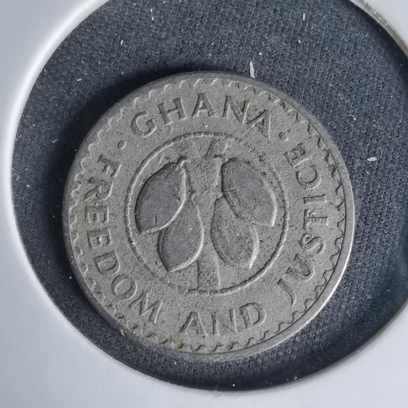 沼泽如烟--第999场