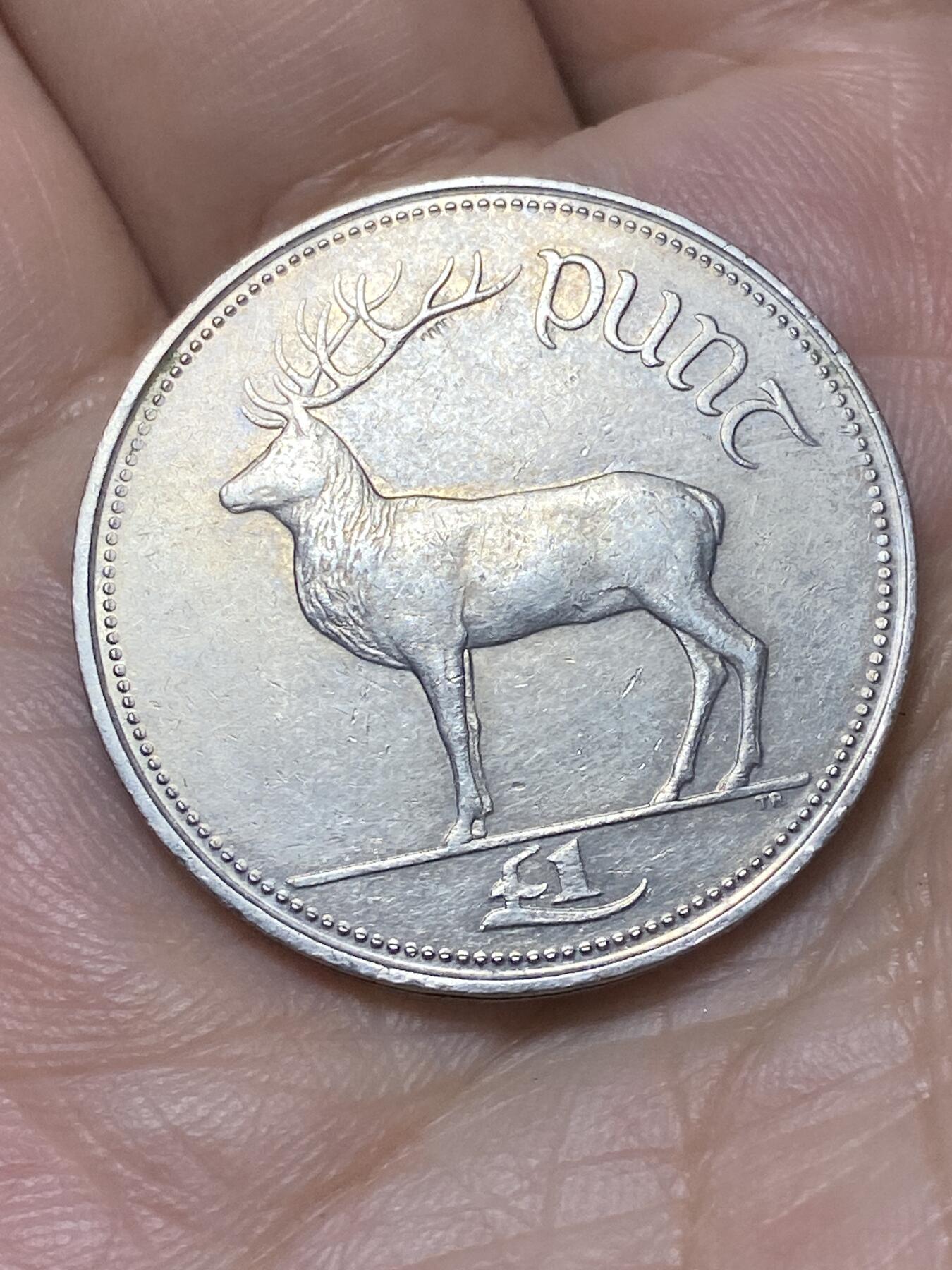 2026年第二十九场(总第一百九十八场）英国一线回流散币新年初九特拍场第一场(免佣金) 爱尔兰🇮🇪1990年1镑(共和国时期第二套)