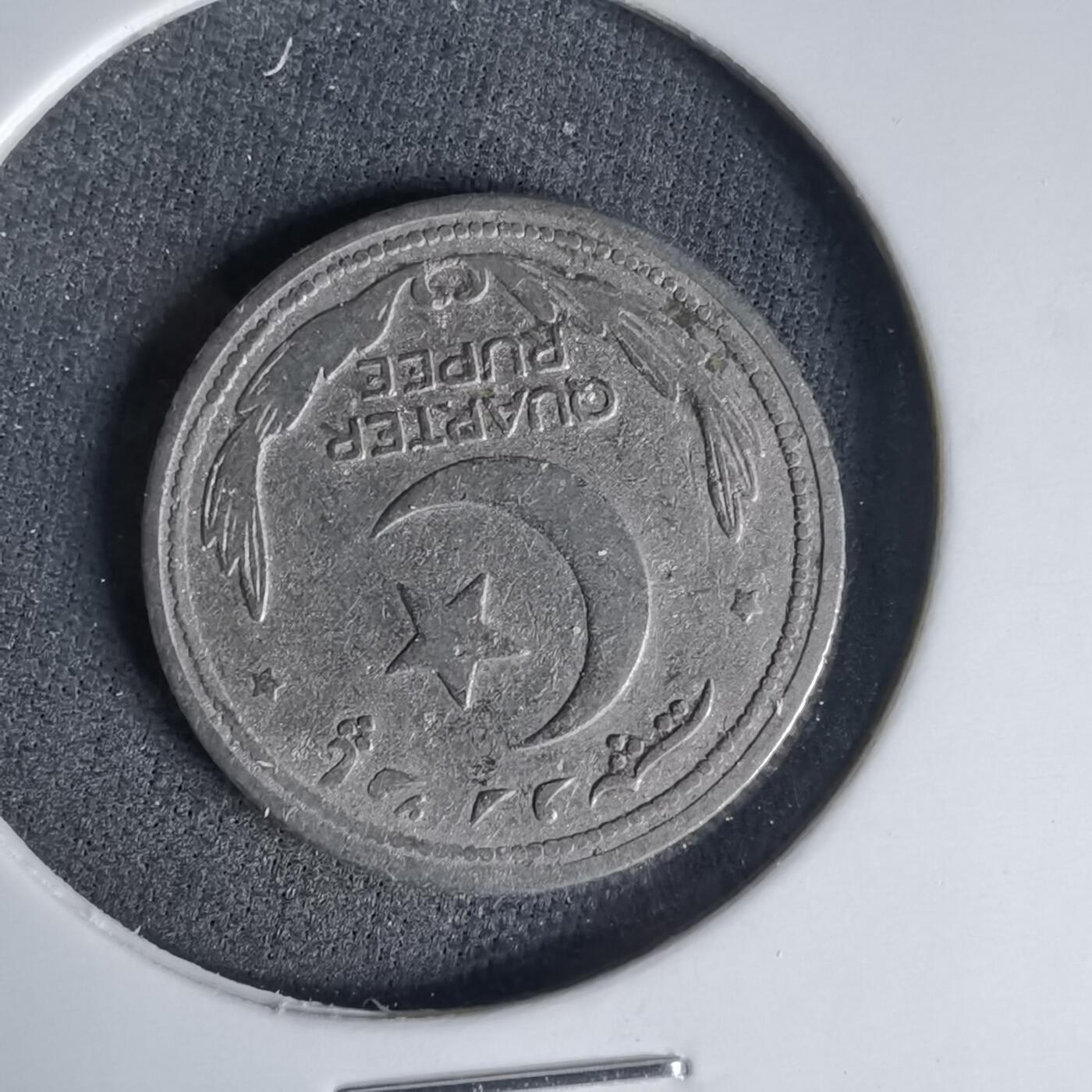 沼泽如烟--第999场