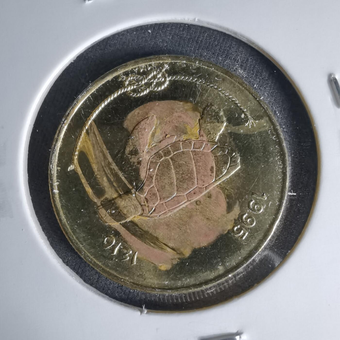 沼泽如烟--第999场