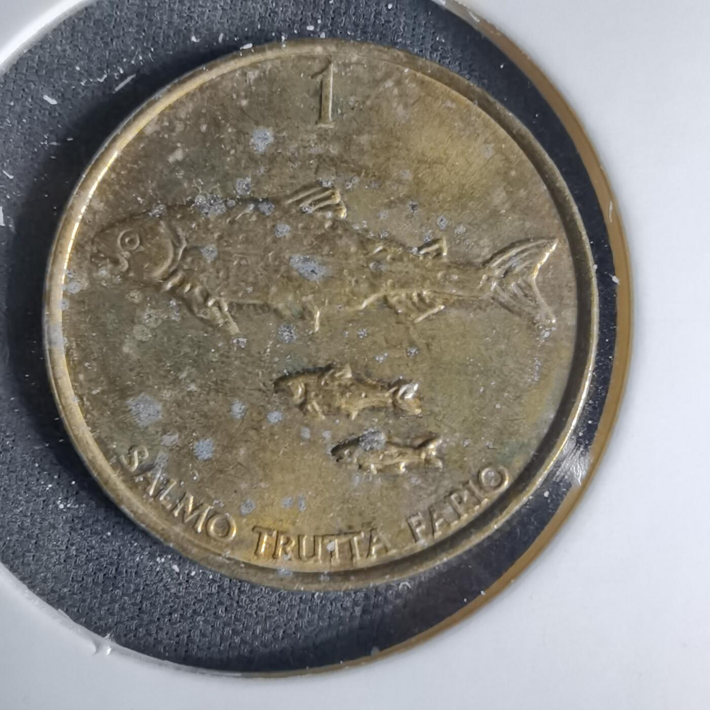 沼泽如烟--第999场