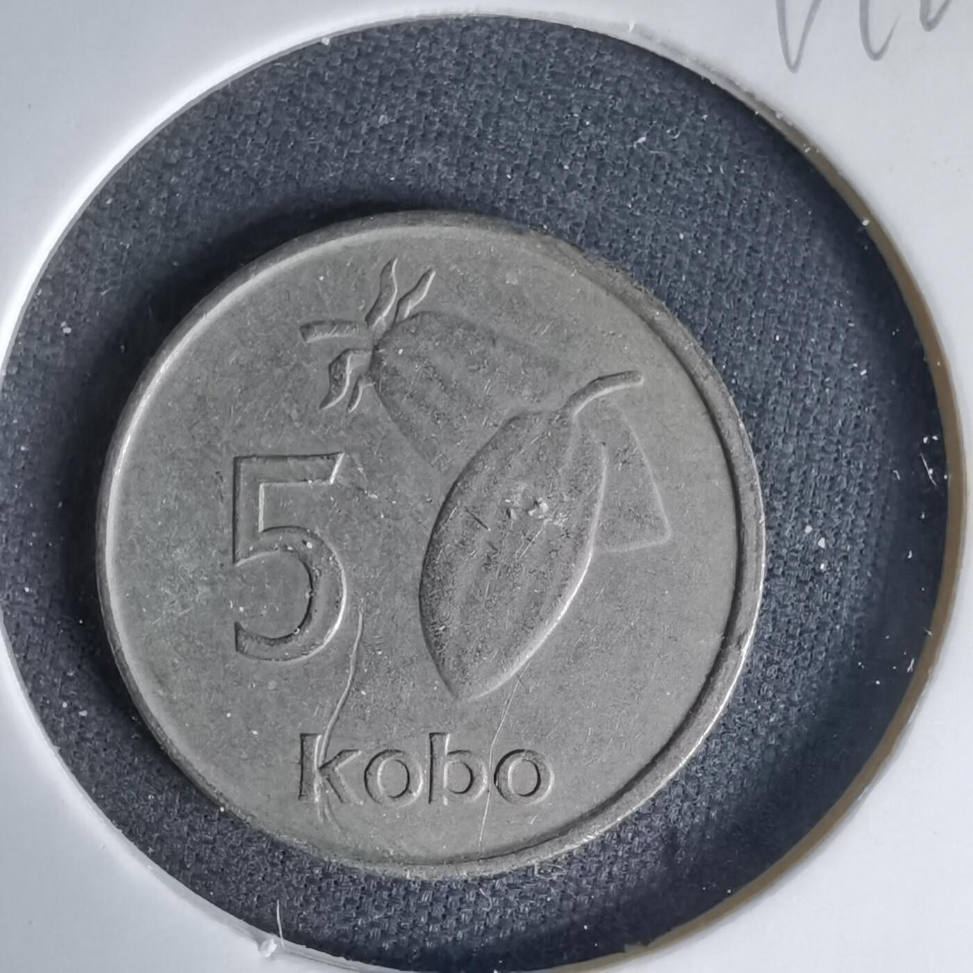 沼泽如烟--第999场